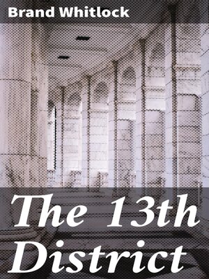 cover image of The 13th District